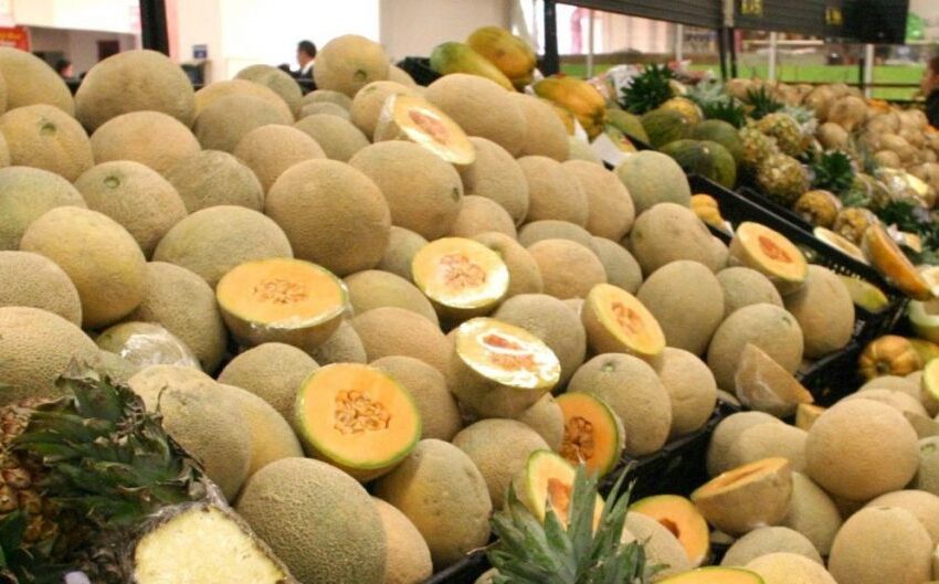  Los melones mexicanos dan negativo en salmonelosis tras el brote mortal en Canadá y Estados Unidos